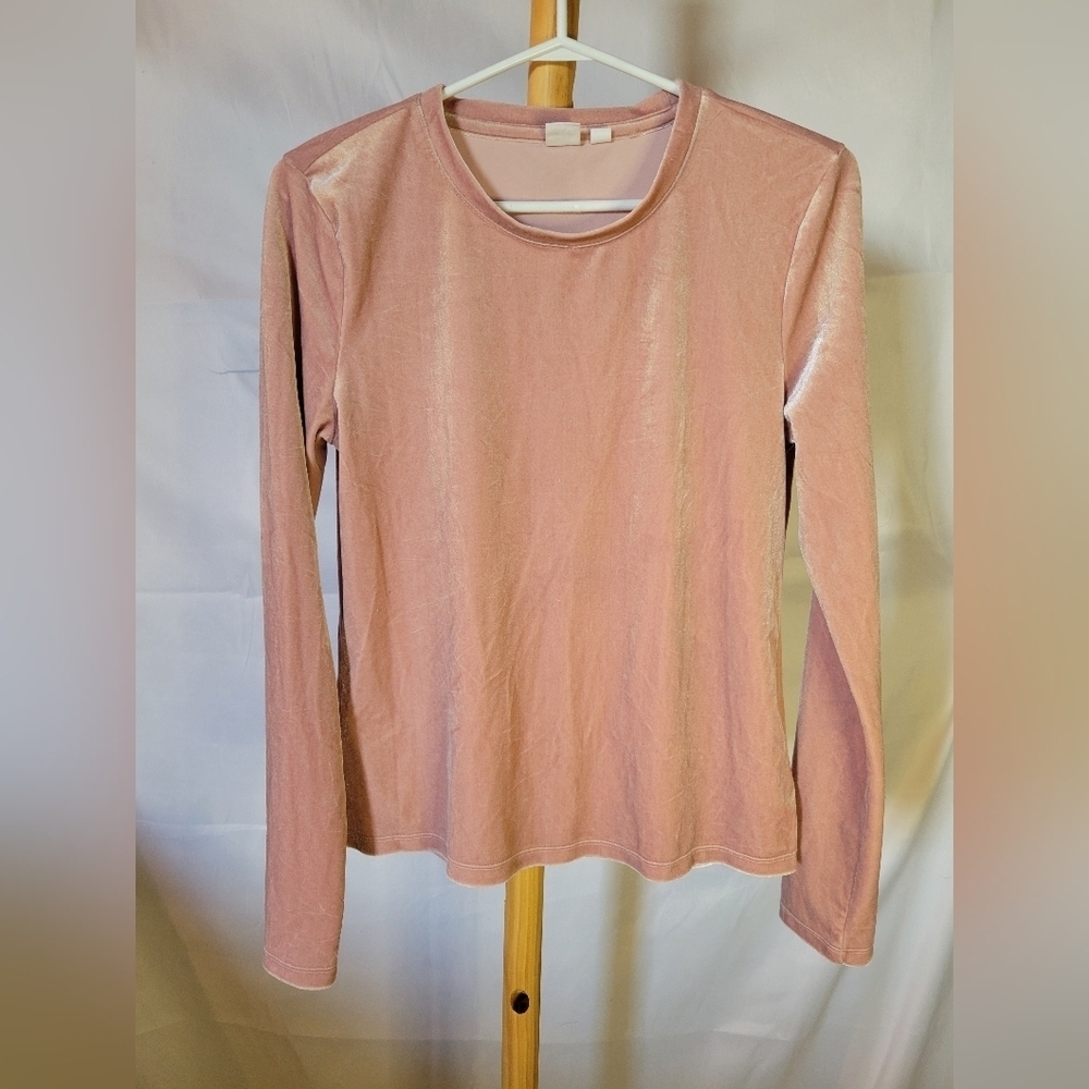 GAP Chalk Pink Velvet Top Long Sleeves Small